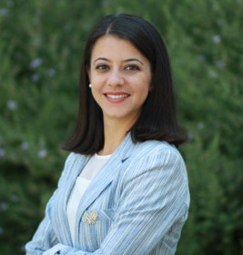 Zehra Gulseven, Ph.D.